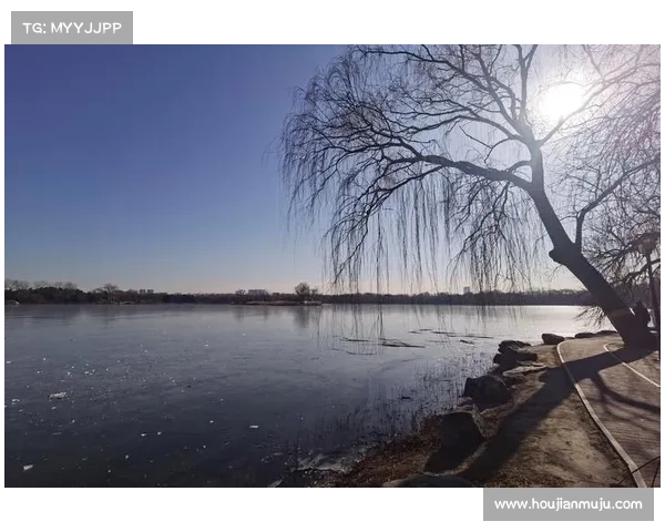 冬日湖畔的静谧与美丽探索感受寒风中的宁静与自然魅力