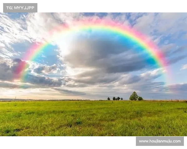 揭示虹色世界中的文化象征与多元意义探索 揭示虹色世界中的文化象征与多元意义探索