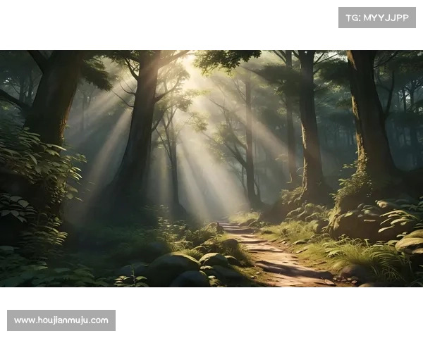 神秘神兽森林大揭秘，敢与我一同探险未知世界吗